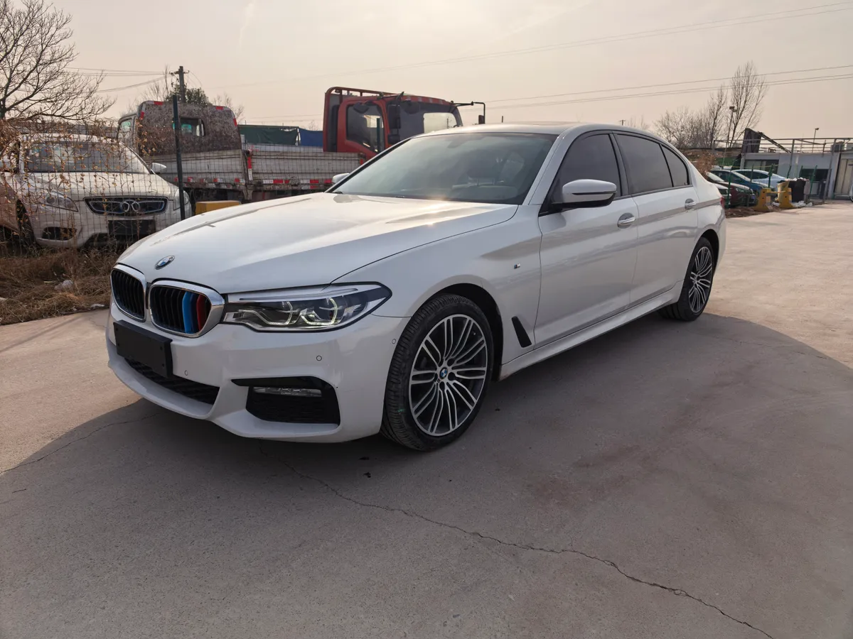 BMW 5 2018 530Li M