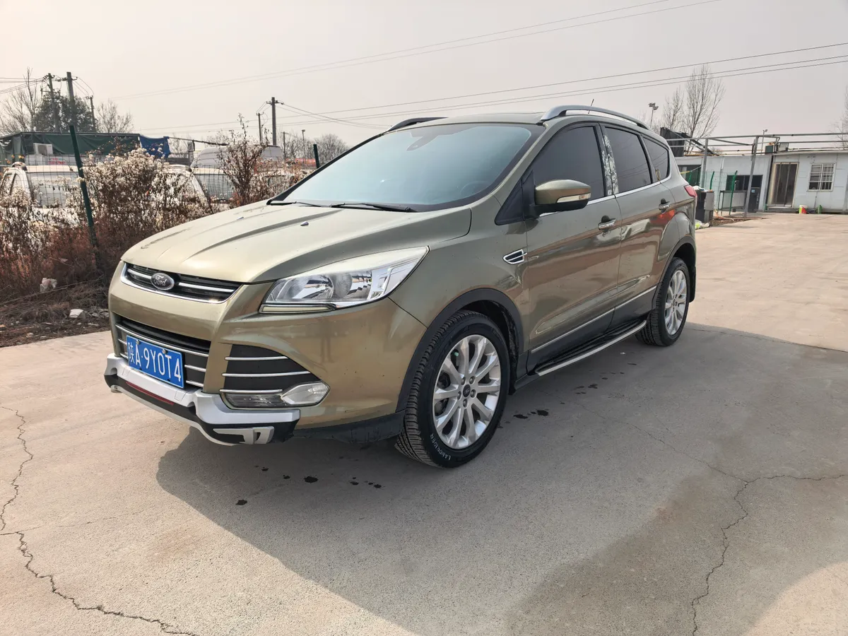 Ford 2015 2.0L GTDi