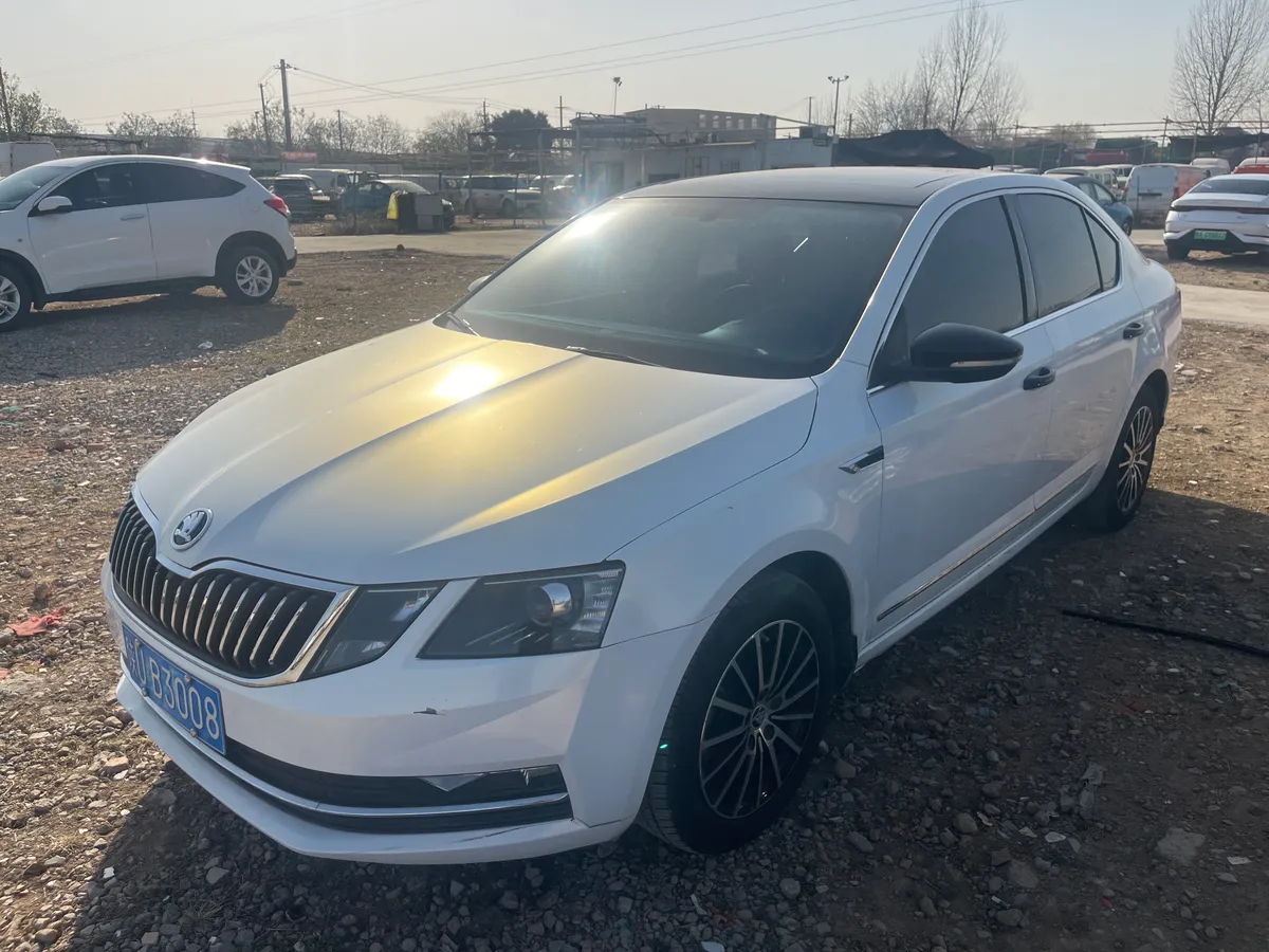 Skoda 2018 TSI230 DSG