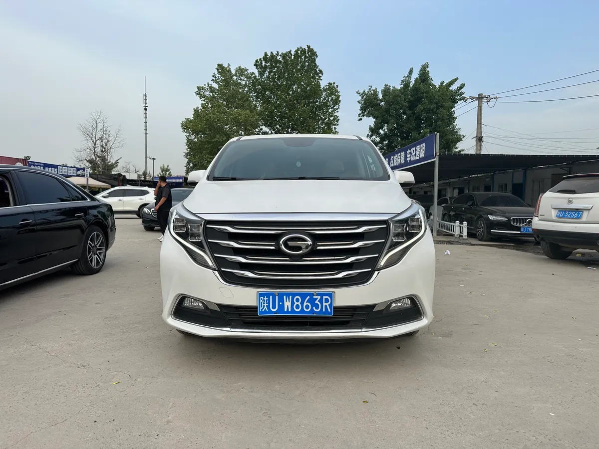 GAC Trumpchi GM8 2020 390T
