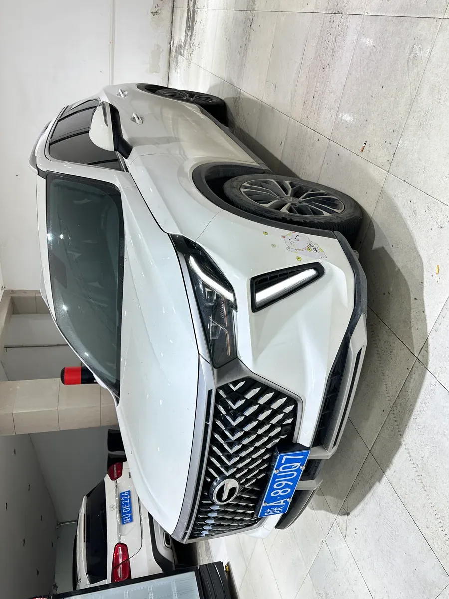 GAC Trumpchi GS4 PLUS 2021 270T