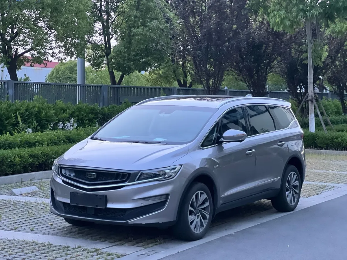 Geely 2019 1.5TD MHEV DCT