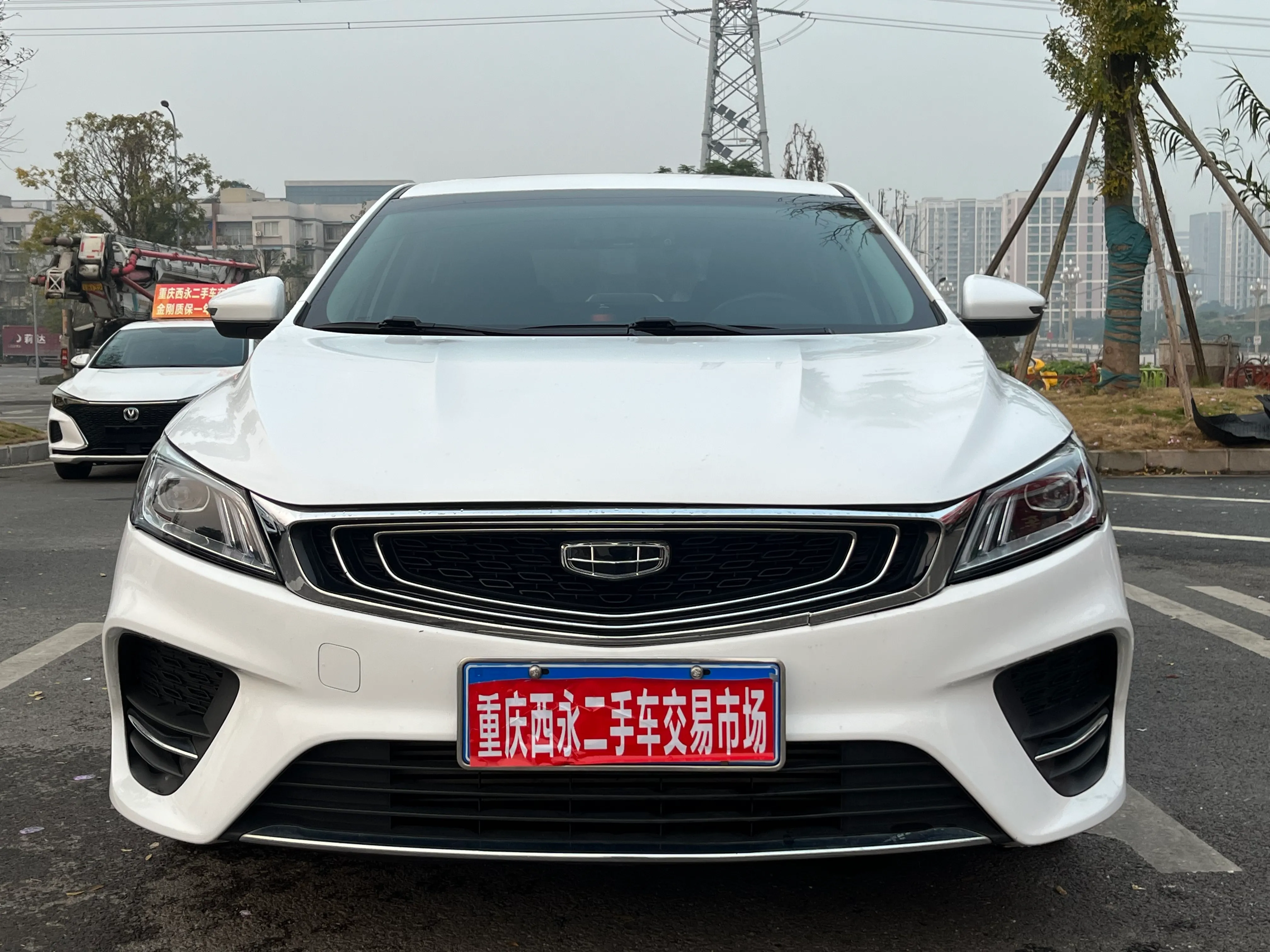 Geely Binrui 2021
