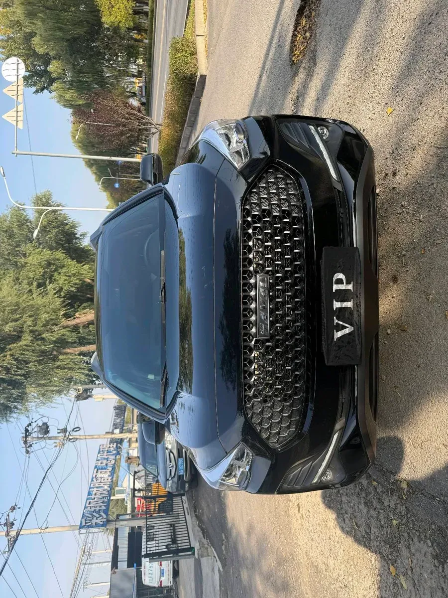 Haval M6 2019 1.5T VI