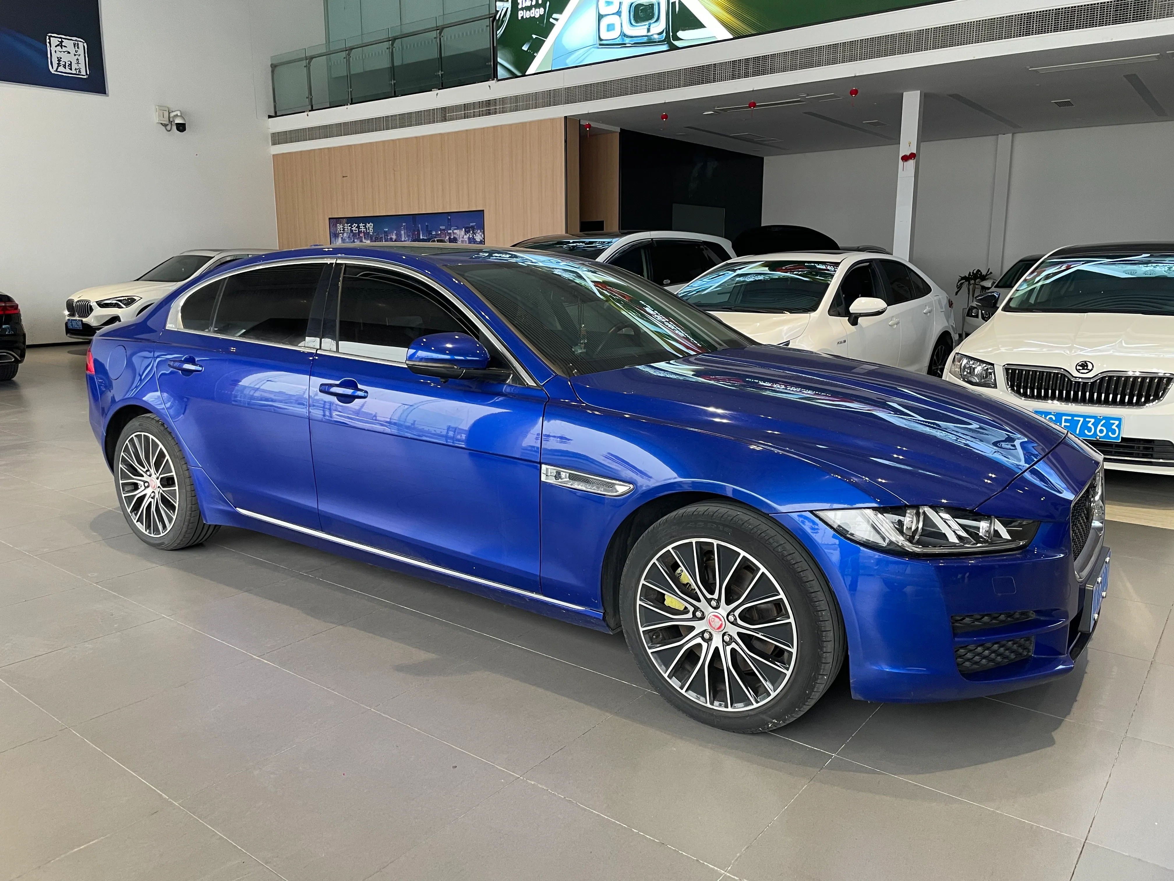 Jaguar Bao XEL 2019