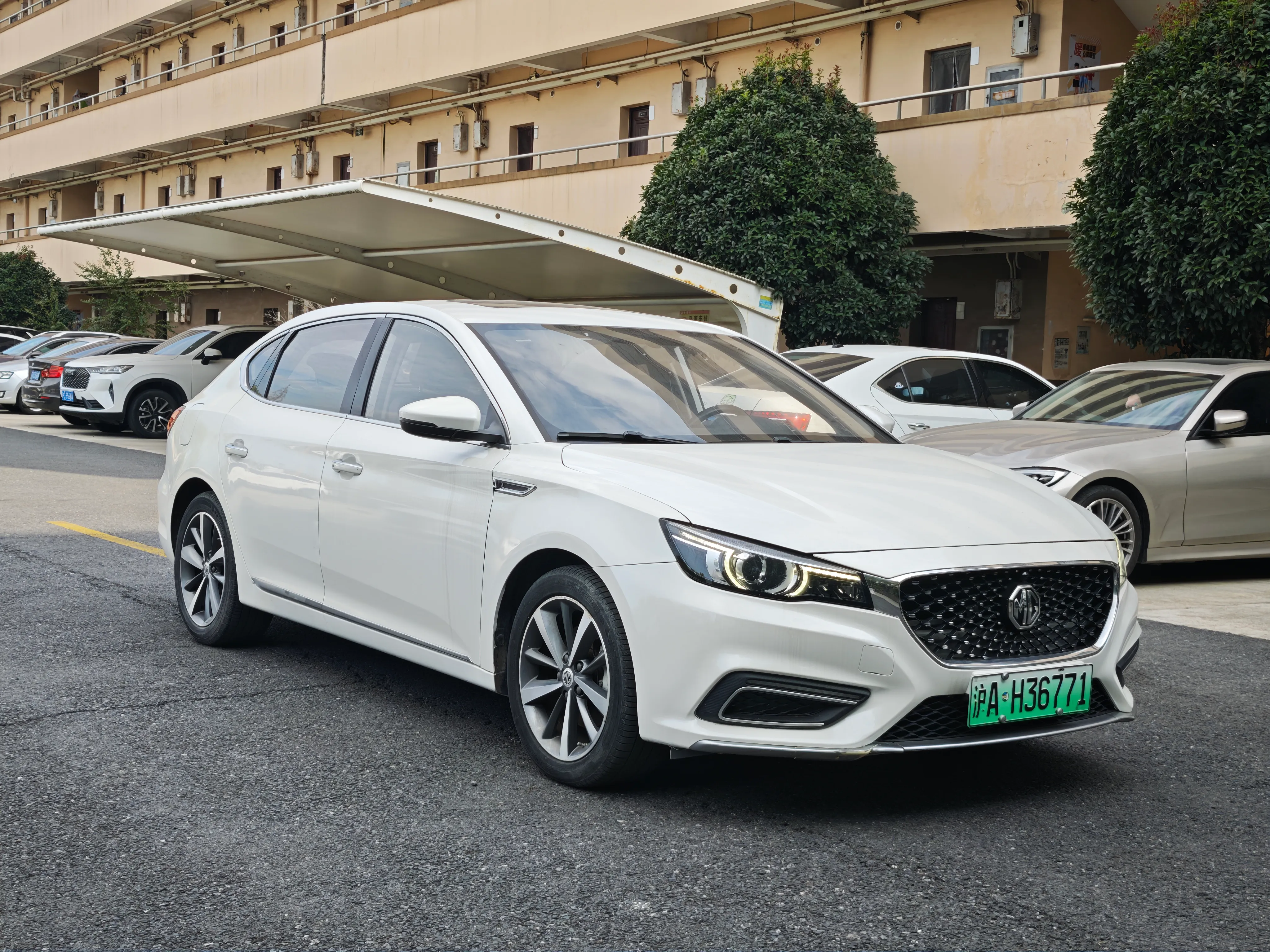 MG 6 2019