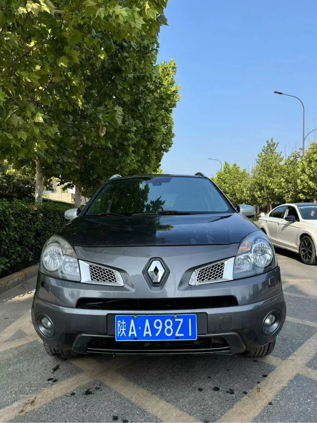 Renault 2WD Luxury 2009