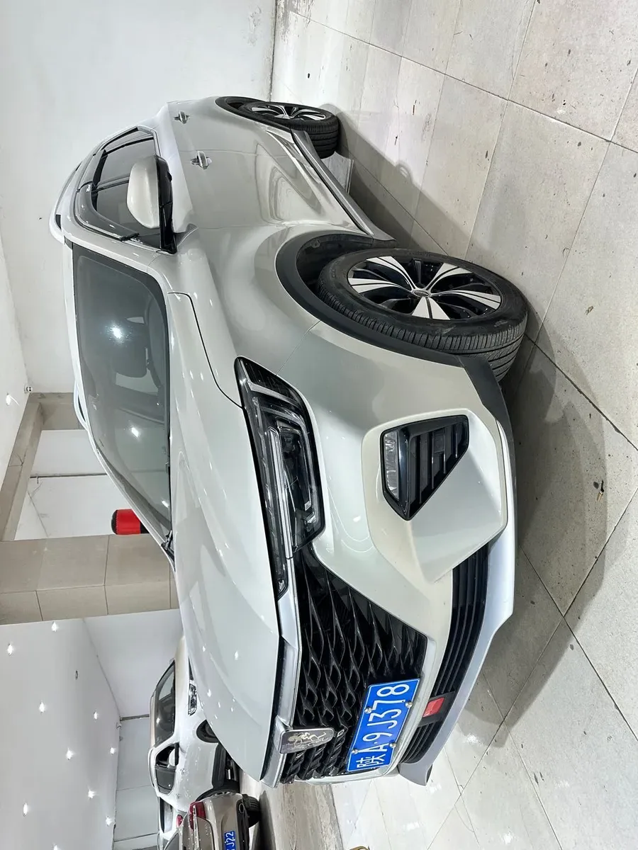 Roewe RX5 2020 PLUS 300TGI Ali