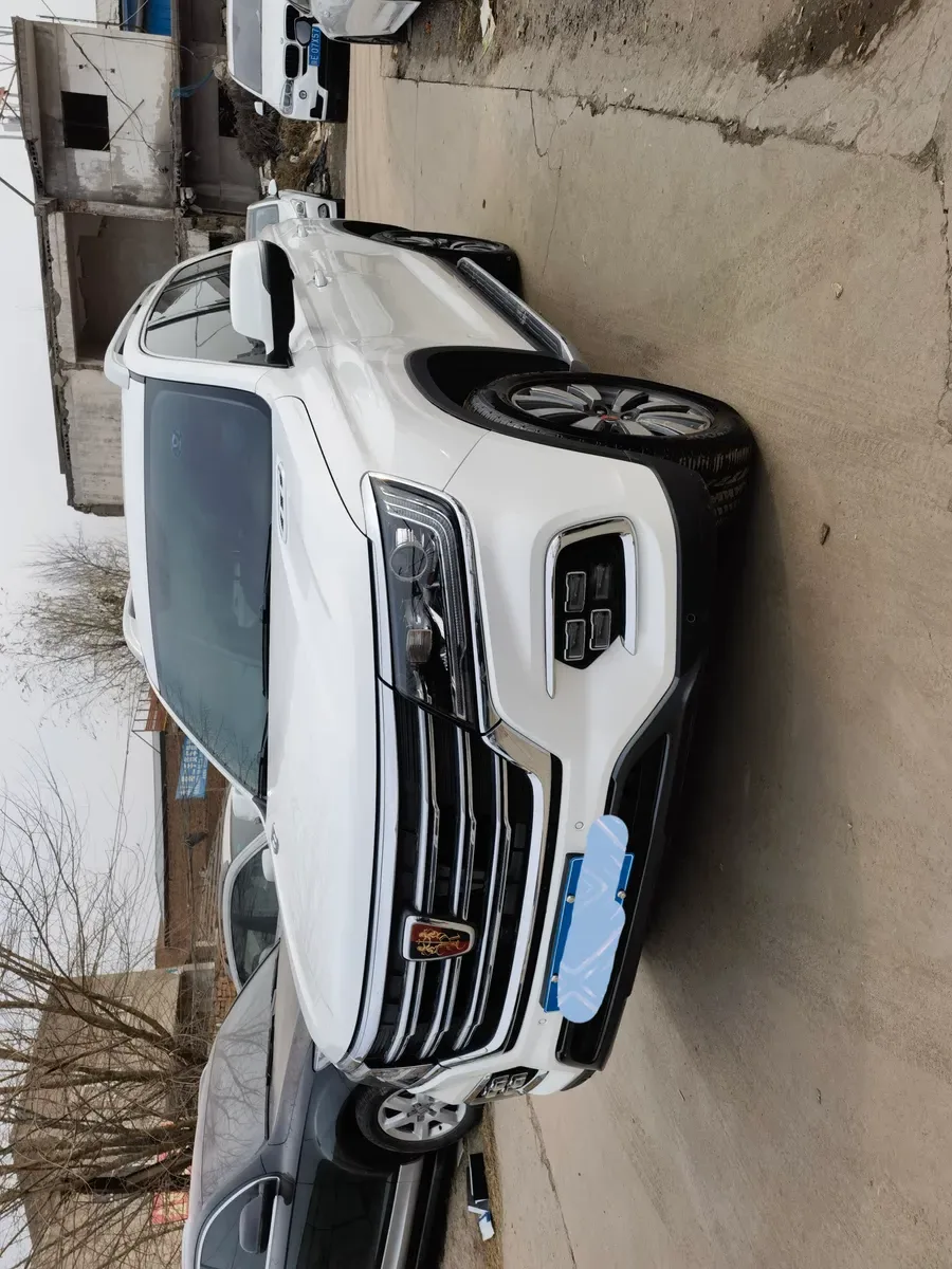 Roewe RX8 2019 30T