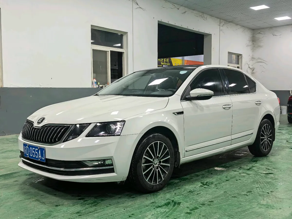 Skoda 2019 TSI230 DSG VI
