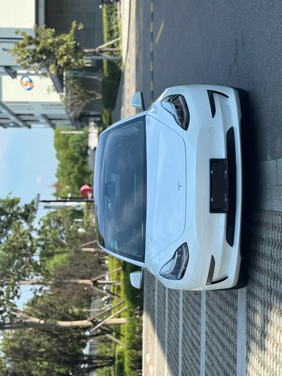 Tesla Model 3 2019