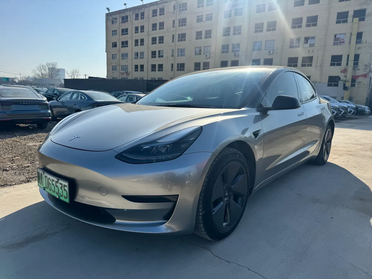 Tesla Model 3 2021 3D1