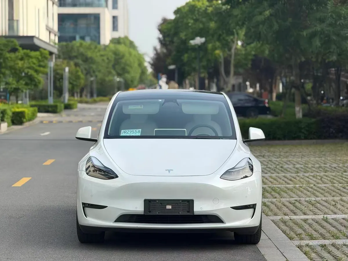 Tesla Model Y 2021 3D7