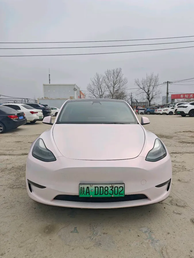 Tesla Model Y 2021