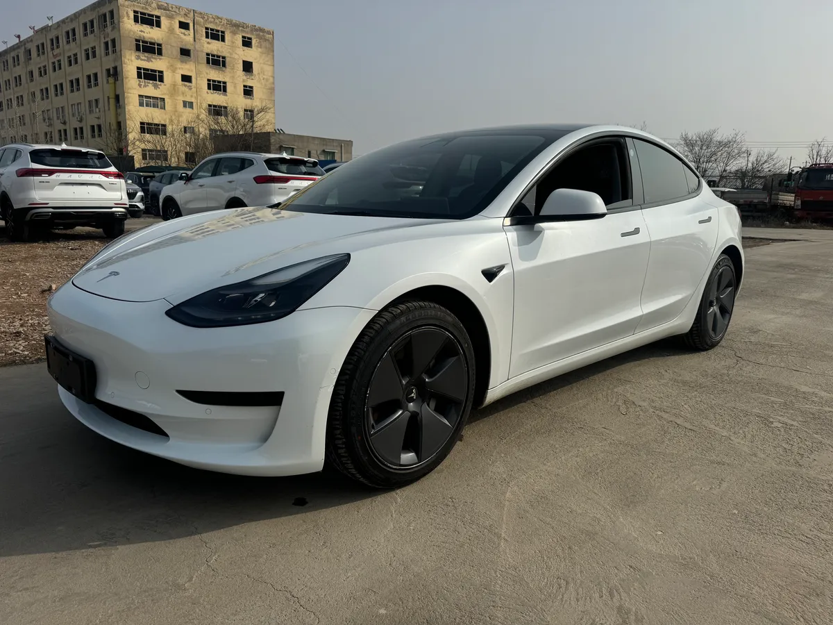 Tesla Model 3 2021