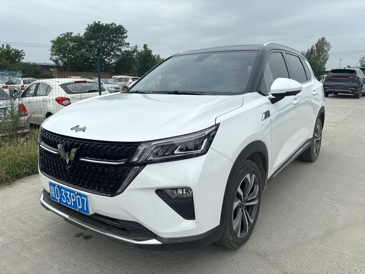 Wuling 2021
